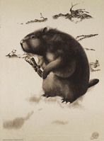KG 16049
          <br/>
          Bever
          <br/>
          <em>Walle, Willem Albertus van de (1906-1995)</em>